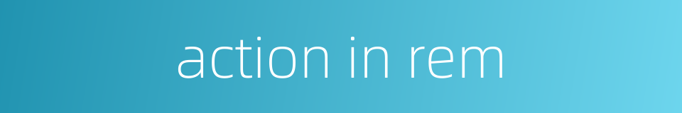 action in rem的同义词