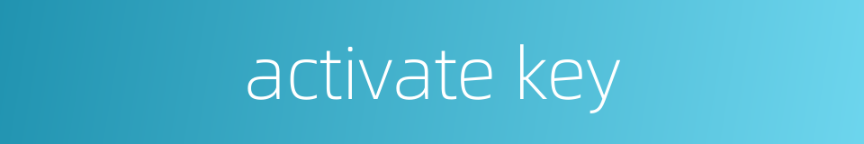activate key的同义词
