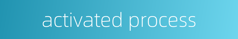 activated process的同义词