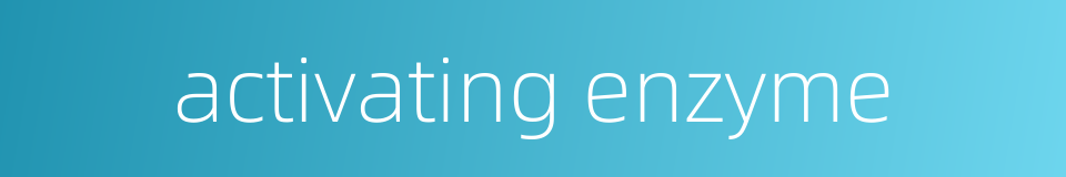 activating enzyme的同义词