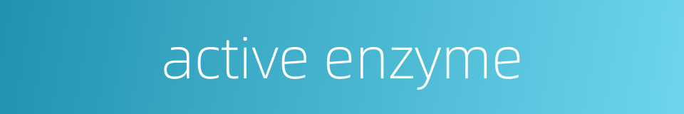 active enzyme的同义词