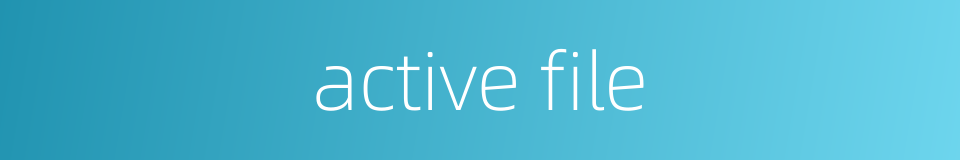 active file的同义词