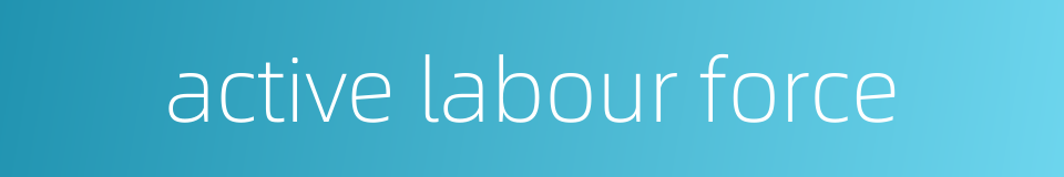 active labour force的同义词