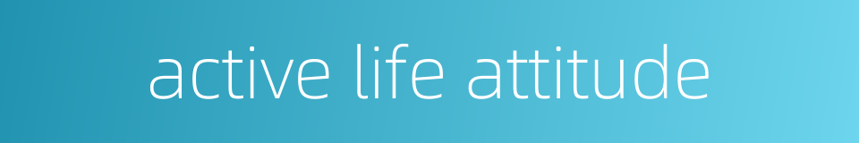 active life attitude的同义词
