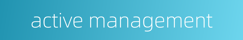 active management的同义词