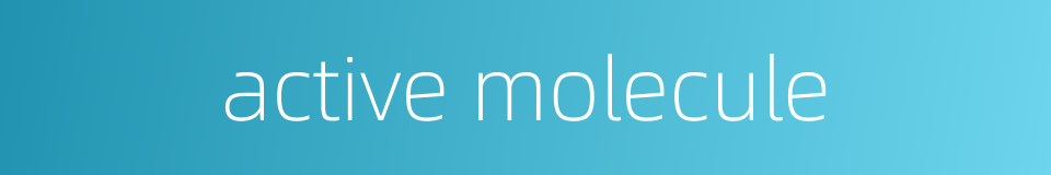 active molecule的同义词