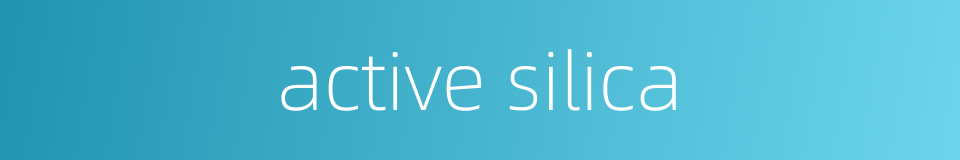 active silica的同义词