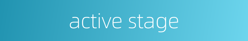 active stage的同义词