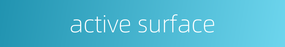 active surface的同义词