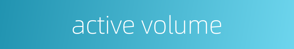 active volume的同义词