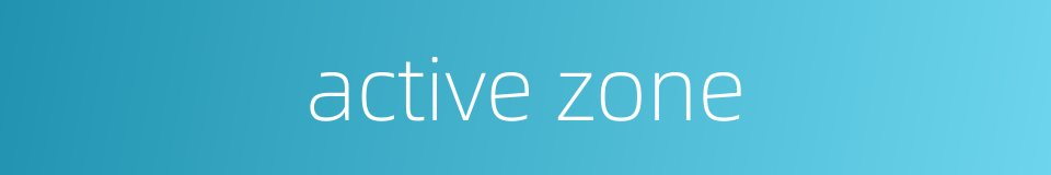 active zone的同义词