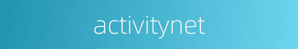 activitynet的同义词