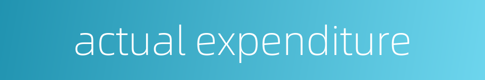 actual expenditure的同义词