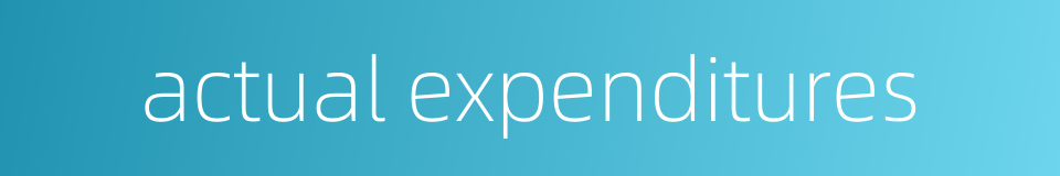 actual expenditures的同义词