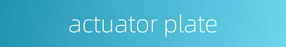 actuator plate的同义词