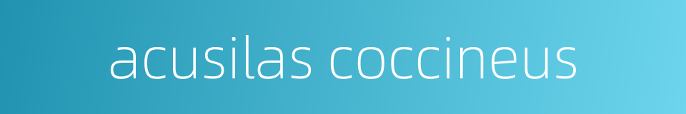 acusilas coccineus的同义词