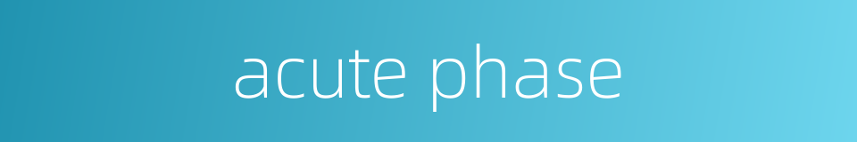 acute phase的同义词