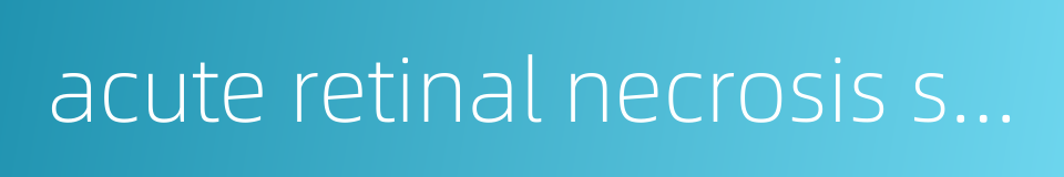 acute retinal necrosis syndrome的同义词