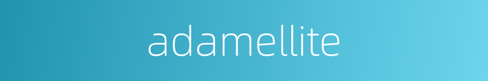 adamellite的同义词