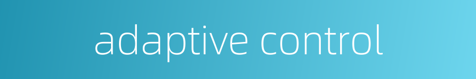 adaptive control的同义词