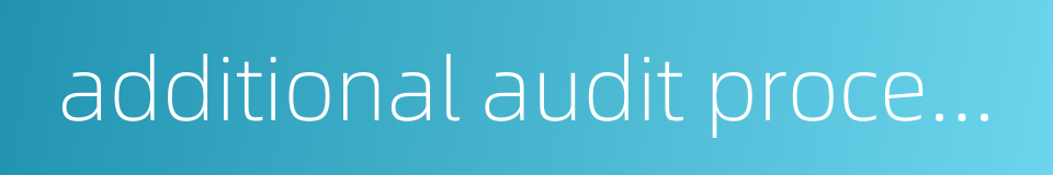 additional audit procedures的同义词