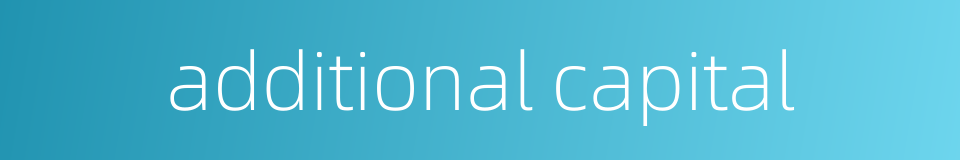 additional capital的同义词