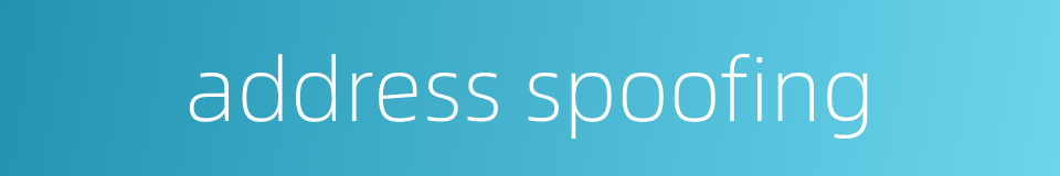 address spoofing的同义词