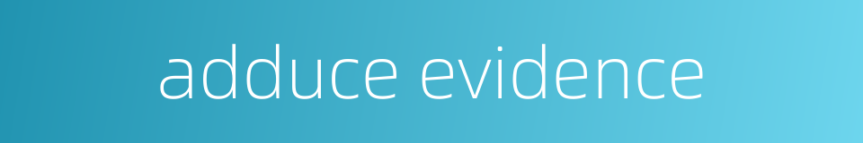 adduce evidence的同义词