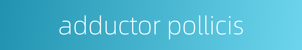 adductor pollicis的同义词