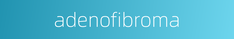 adenofibroma的同义词