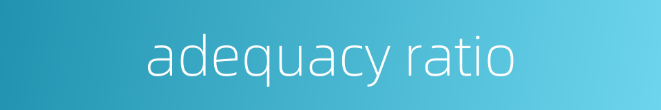 adequacy ratio的同义词