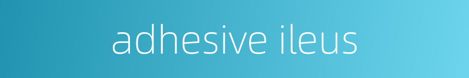 adhesive ileus的同义词