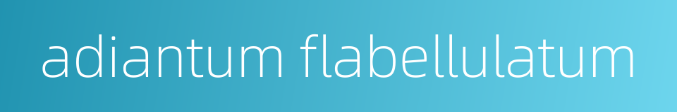 adiantum flabellulatum的同义词