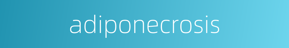adiponecrosis的同义词