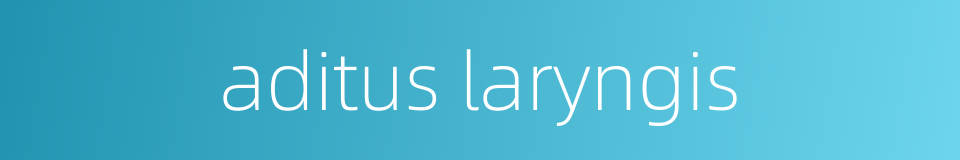 aditus laryngis的同义词