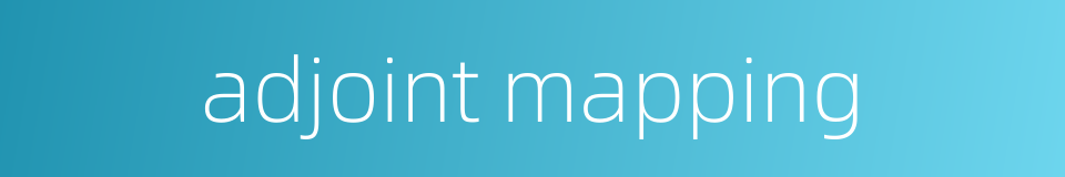 adjoint mapping的同义词