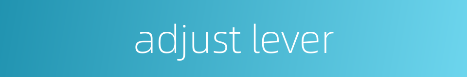 adjust lever的同义词