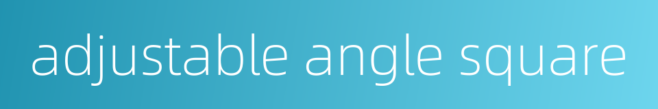 adjustable angle square的同义词