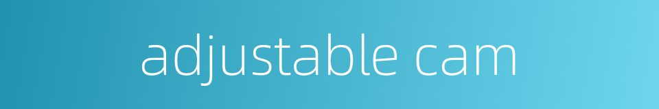 adjustable cam的同义词