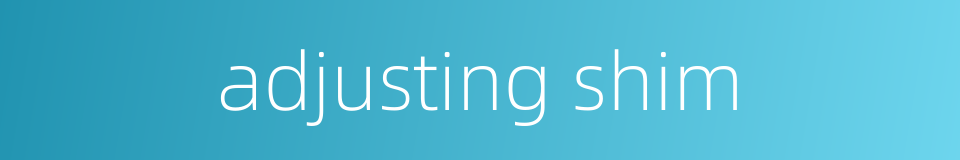 adjusting shim的同义词