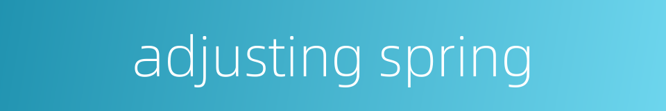 adjusting spring的同义词