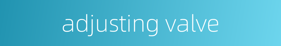 adjusting valve的同义词