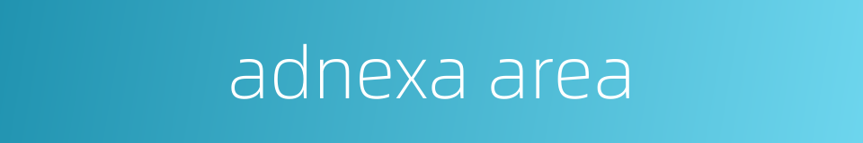 adnexa area的同义词