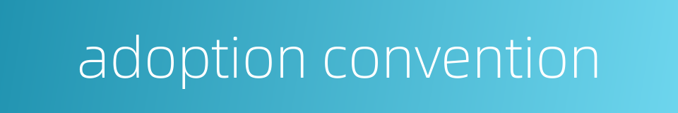 adoption convention的同义词