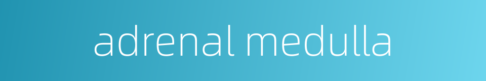 adrenal medulla的同义词