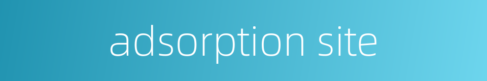 adsorption site的同义词