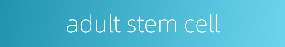 adult stem cell的同义词