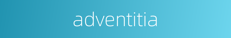 adventitia的同义词