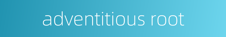 adventitious root的同义词
