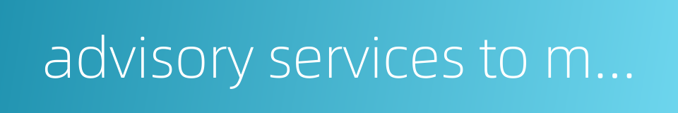 advisory services to management的同义词